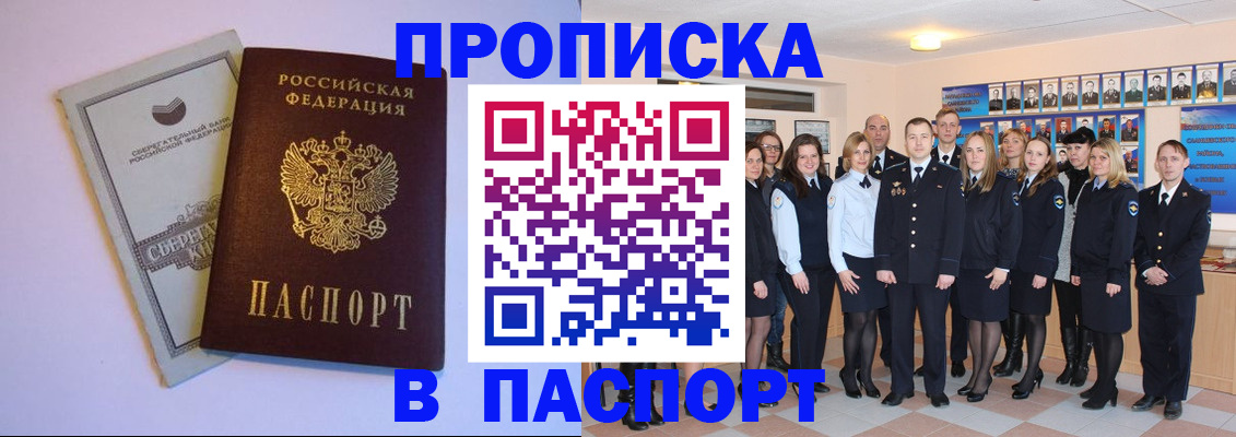 прописка поиск в Сольцах