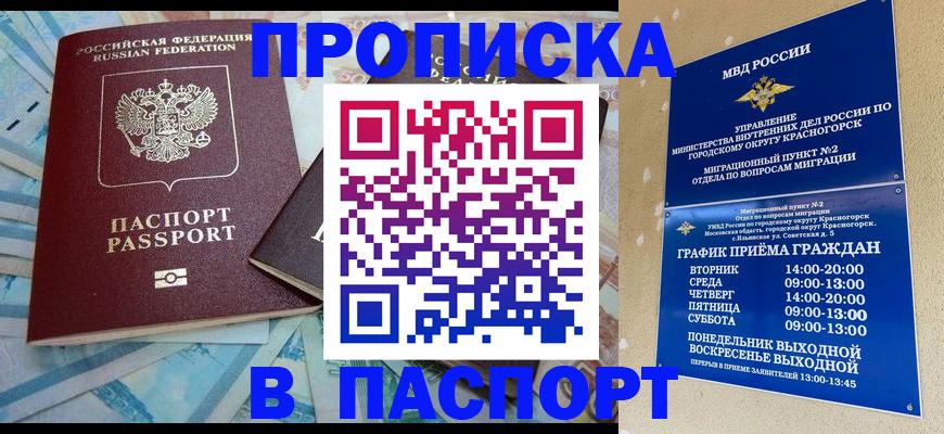 найти адрес прописки в Сольцах